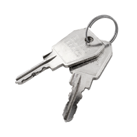 Carver sleutel 25021 (2 stuks)